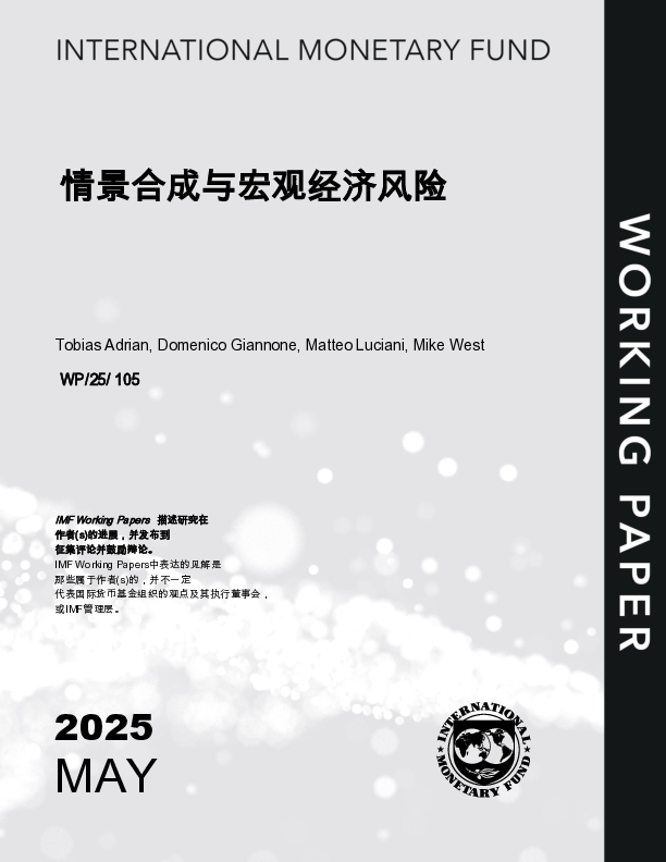情景综合与宏观经济风险